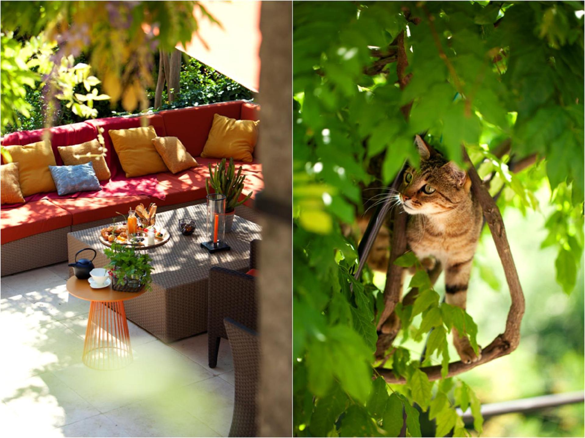 Mas De L'Amarine Otel Saint-Rémy-de-Provence Dış mekan fotoğraf